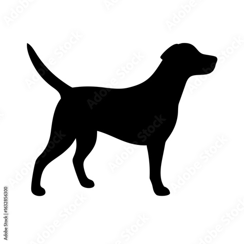 Dog: The Loyal Companion and Beloved Pet