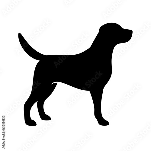 Dog: The Loyal Companion and Beloved Pet