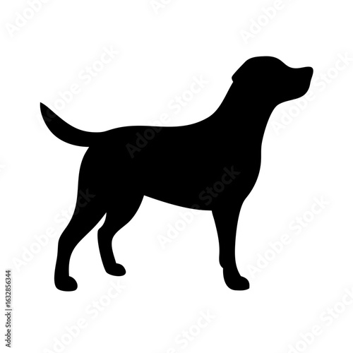 Dog: The Loyal Companion and Beloved Pet