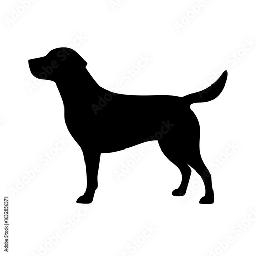 Dog: The Loyal Companion and Beloved Pet