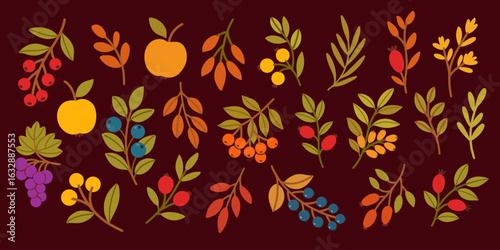 Autumn forest berries, branches, and leaves. 