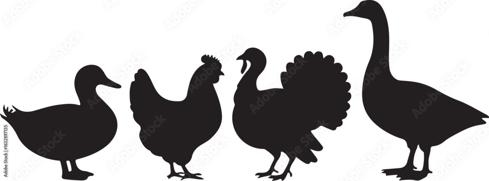 Obraz premium Black silhouettes of a duck chicken turkey and goose standing in a row vector