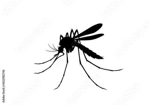 Detailed Silhouette of a Mosquito with Delicate Antennae and Wings
