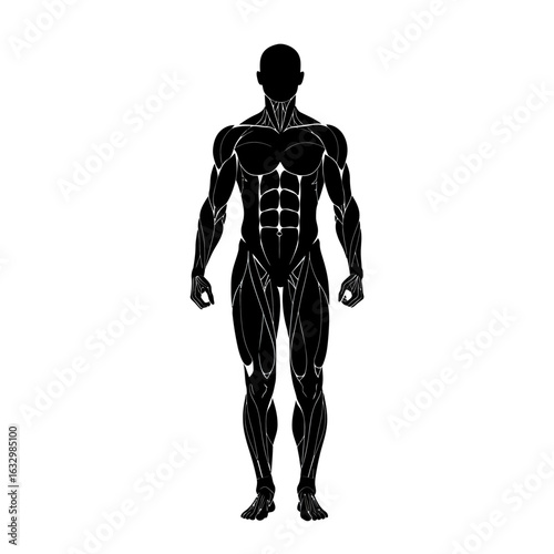 Stylized black silhouette of a muscular male figure with defined anatomical muscle groups.