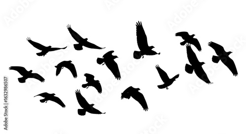 Silhouetted birds soars against stark white background, conveying freedom.