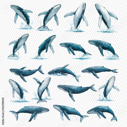A collection of watercolor illustrations of humpback whales in various dynamic poses, including breaching, swimming, and splashing.