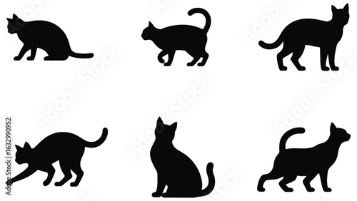 Silhouettes of cats in different poses on white background for pet and animal design
