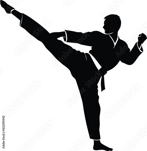 karate student vector art illustration