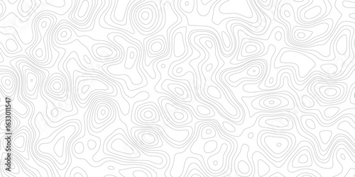 The concept of a conditional geography scheme and the terrain path. Ultra wide. Map vector terrain Illustration. Topographic map background geographic line map with elevation assignments.