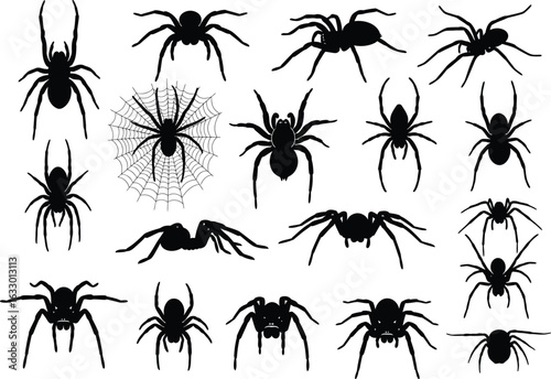 Collection of diverse spider silhouettes in various poses and sizes on a white background for halloween or spooky themes