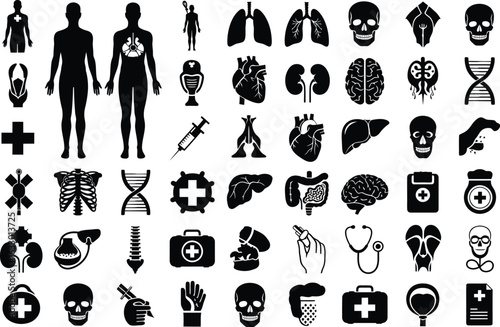 Collection of medical and anatomical icons representing human body parts organs and healthcare symbols