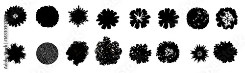 Tree top view vector silhouette collection in various styles. Perfect tree top for architectural plans, landscape design, and environmental presentation, offering diverse tree canopy shapes