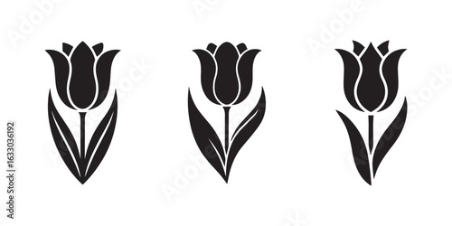 Set of tulip silhouette vector illustrations on transparent background, elegant floral icons for spring and nature themes