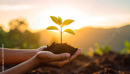 Hands holding a seedling growing in soil against a sunrise backdrop. Symbolizes new beginnings and environmental stewardship.