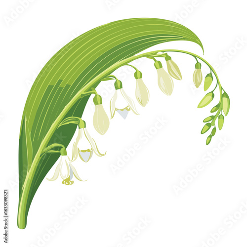 Single Stem of Lily of the Valley