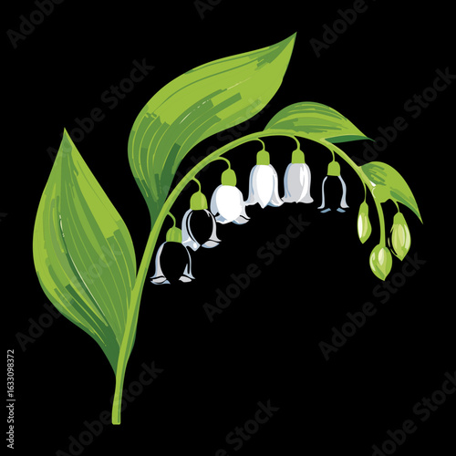 Close-up of Lily of the Valley Bells