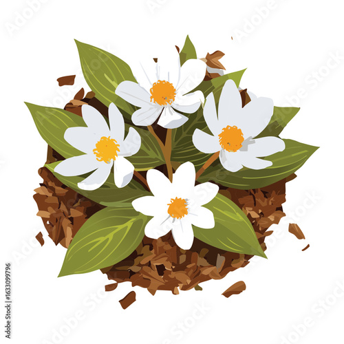 Flower plant on wood shavings illustration