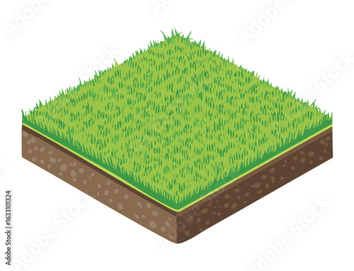 Isometric view of green grass patch