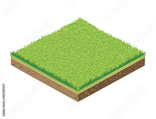 Isometric view of green grass patch