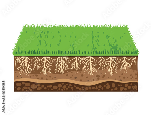 Isometric view of soil layers and grass