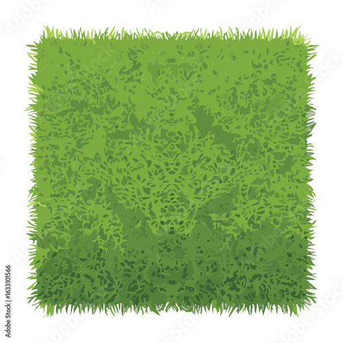 A flat lay of trimmed green grass square