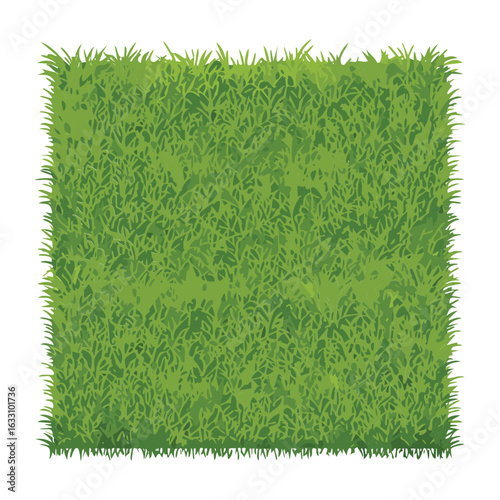 Isolated fresh grass texture on a square