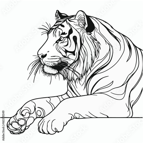 Decorative Tiger Line Art for Coloring Page
