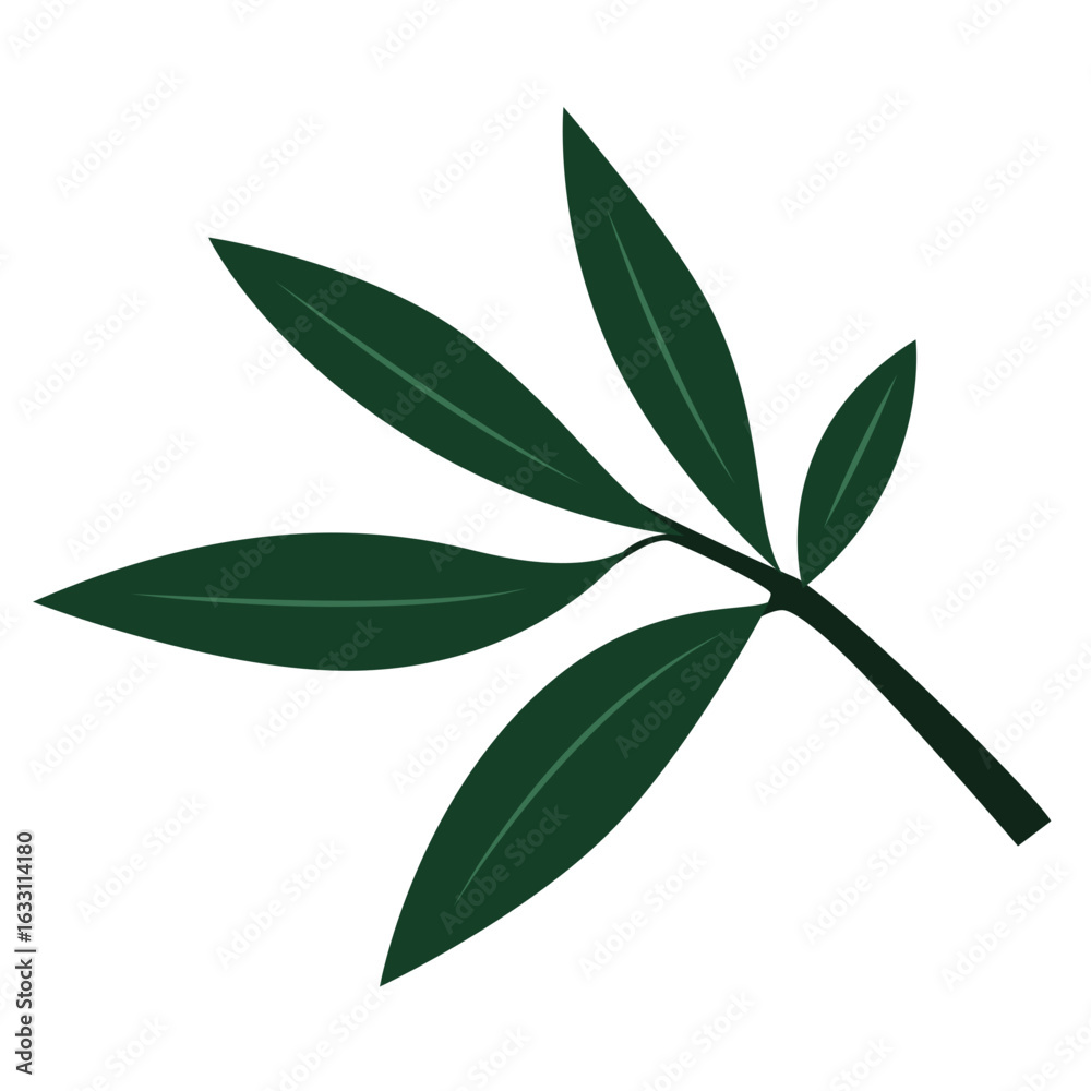 Naklejka premium 2d Botanical flat illustration of a leafy stem with five dark green leaves on white background, minimal vector style. 