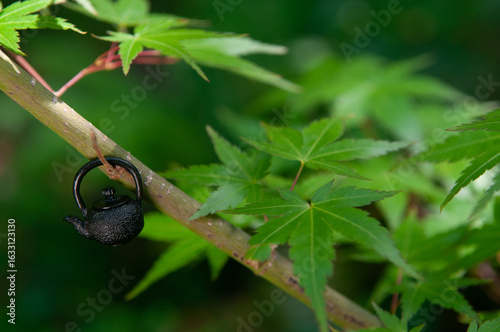 tiny Asian teapot in a Chinese maple tree