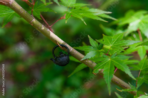 miniature Asian tea pot on a Chinese maple branch