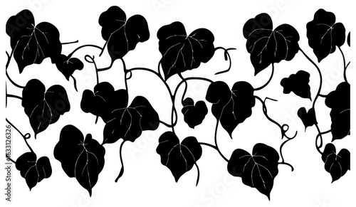 Luffa vine silhouette decoration border