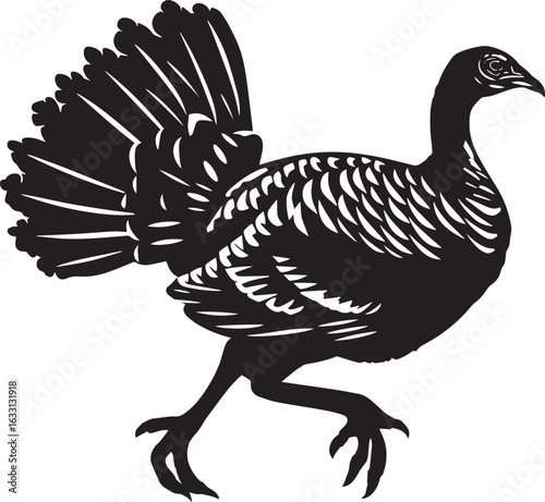 A black and white illustration of a turkey walking on a white background.