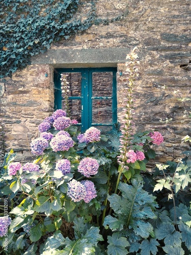 window with flowers France, Bretagne 