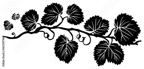 Kiwi vine silhouette border decoration