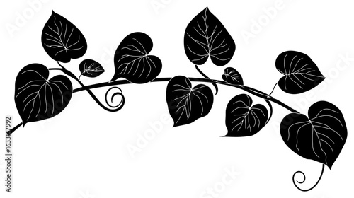 Kiwi vine silhouette border decoration