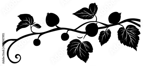 Kiwi vine silhouette border decoration