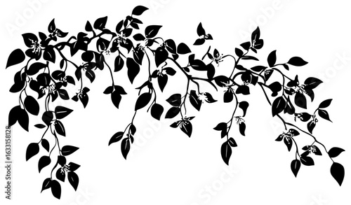 Bougainvillea vine silhouette border decoration