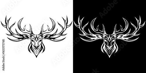 Minimalist solid white background with a clean smooth and uniform flat texture.