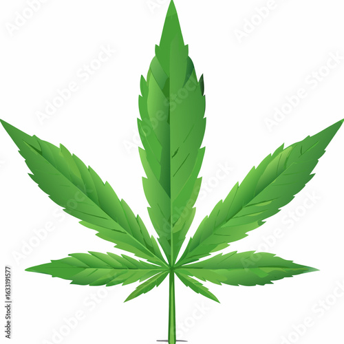 Isolated Green Cannabis Leaf Illustration on White Background for Medical Purposes