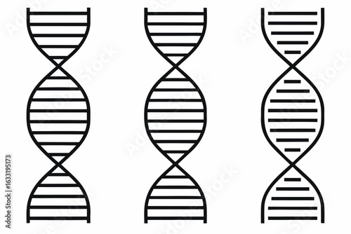 Three DNA helix structures in black and white isolated on white background