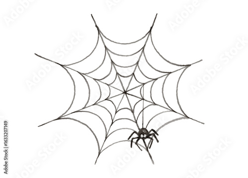 Hand painted watercolor spider web isolated