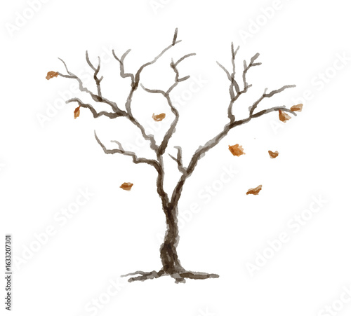 Hand painted watercolor dry tree isolated