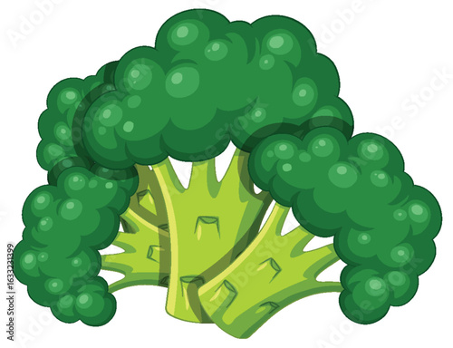 Fresh Broccoli Florets Vector Illustration