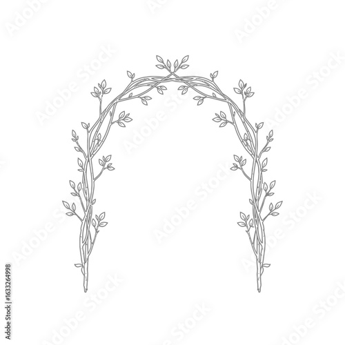 Elegant floral archway design, sketched branches and buds, symmetrical, botanical illustration.