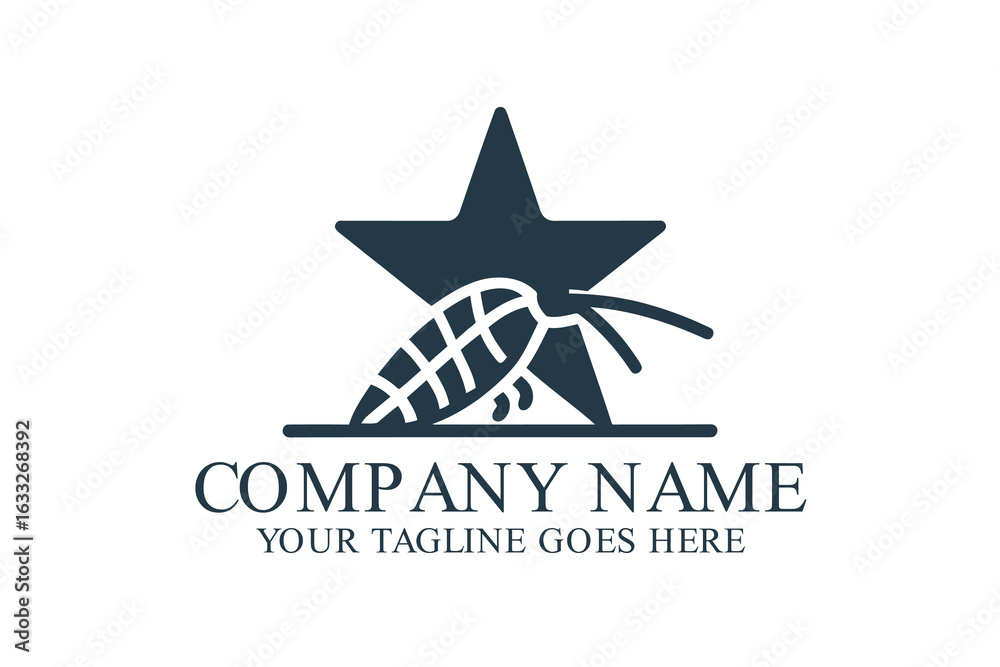 Obraz premium star logo design