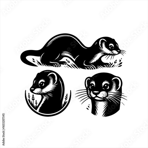 Black and White Stylized Weasel Illustrations.