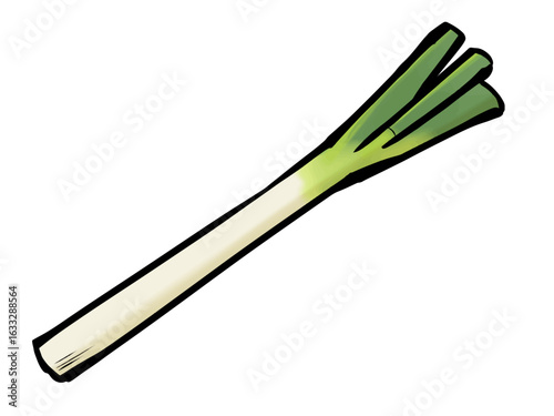 筆 長ネギ 野菜 薬味 ねぎ / Simple and cute hand drawn Japanese Long Onion illustration	