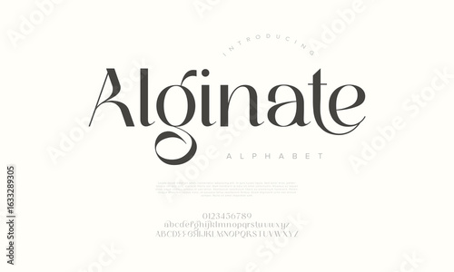 Graceful and artistic serif display font perfect for branding, logos, and editorial use