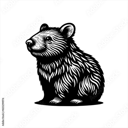 Stylized Black and White Hamster Illustration.