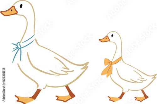 A family of white domestic geese and ducks with ducklings walking on grass